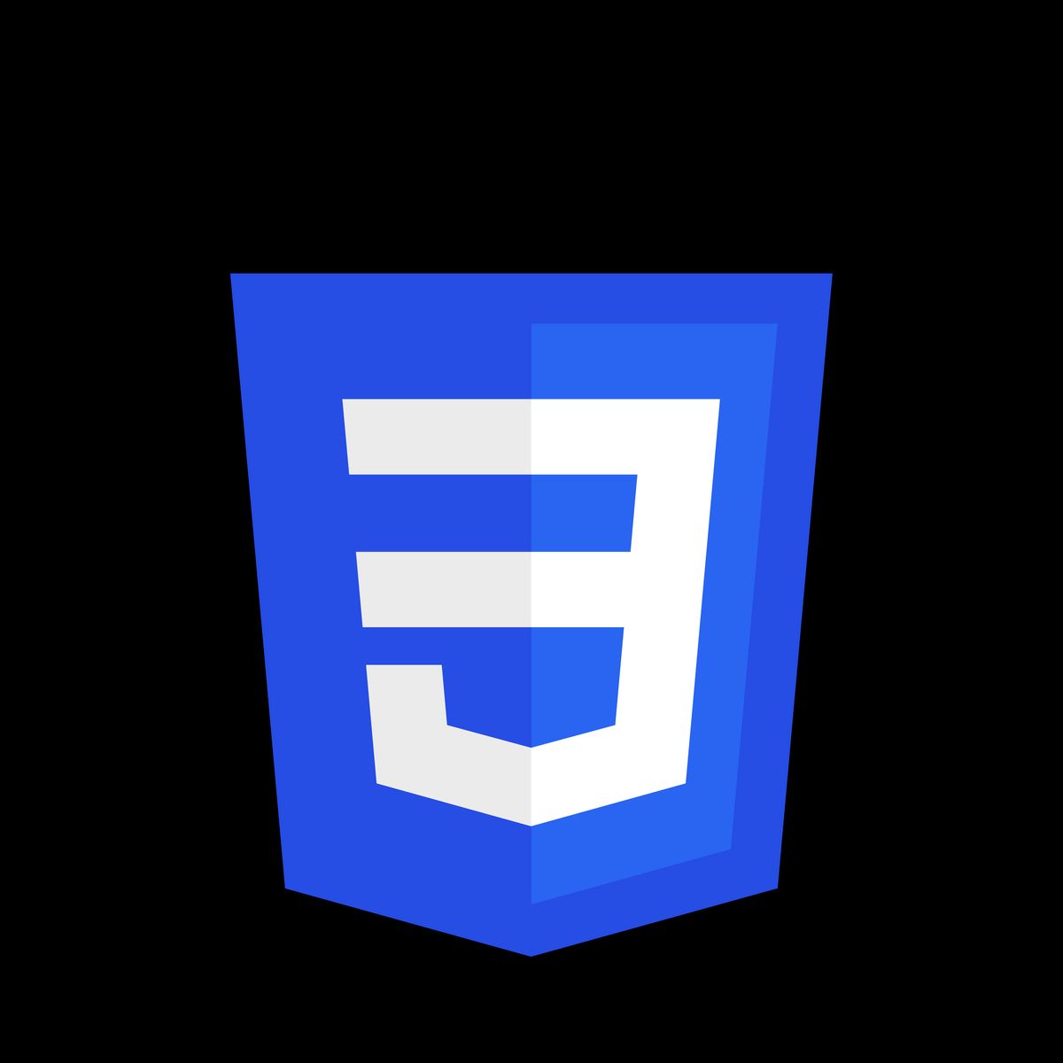 HTML Logo